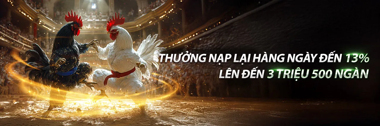 Đá gà trực tiếp cựa dao FG1